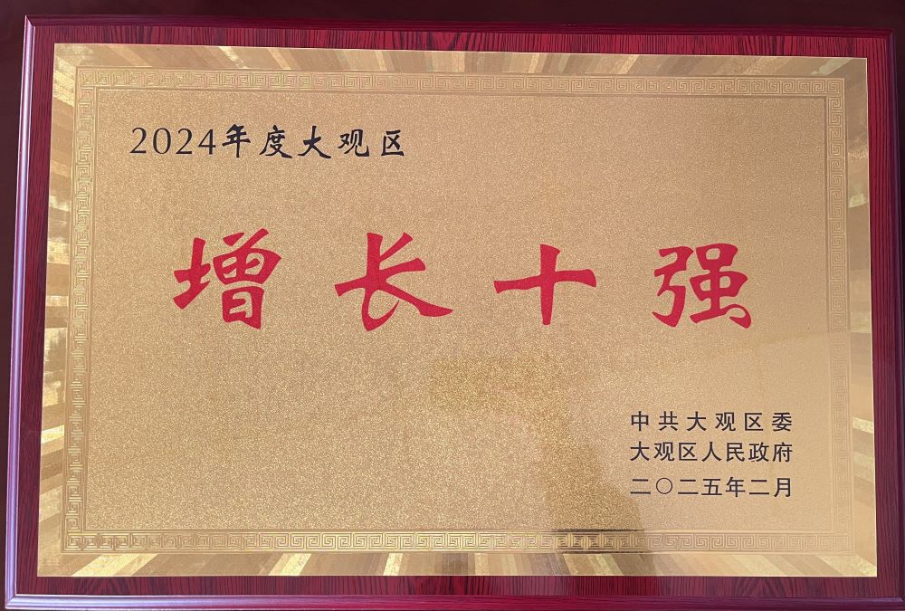 9728太阳集团荣登2024年度大观区 “增长十强企业”榜