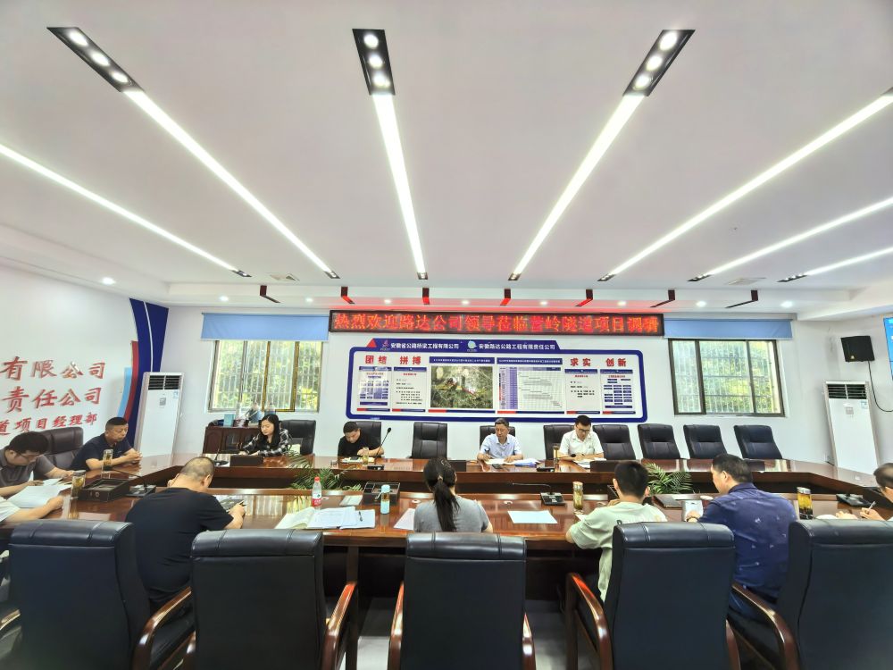 闵芳芬到S22天天高速营岭隧道项目调研