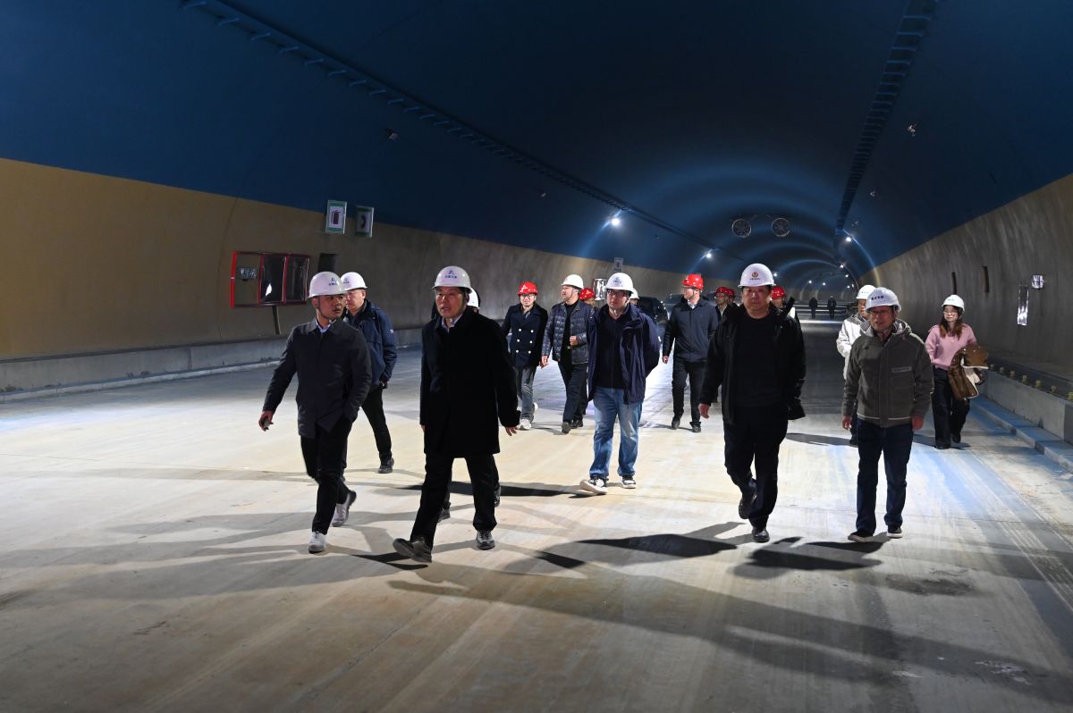 S22天天高速安庆至潜山段营岭隧道项目顺利通过交工验收